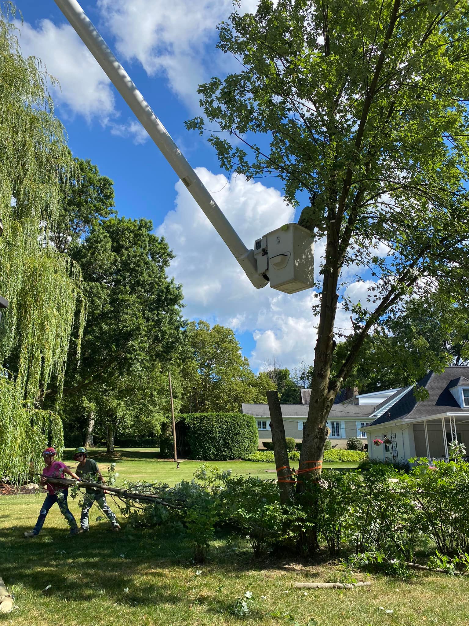 HOA grounds maintenance Summit Township