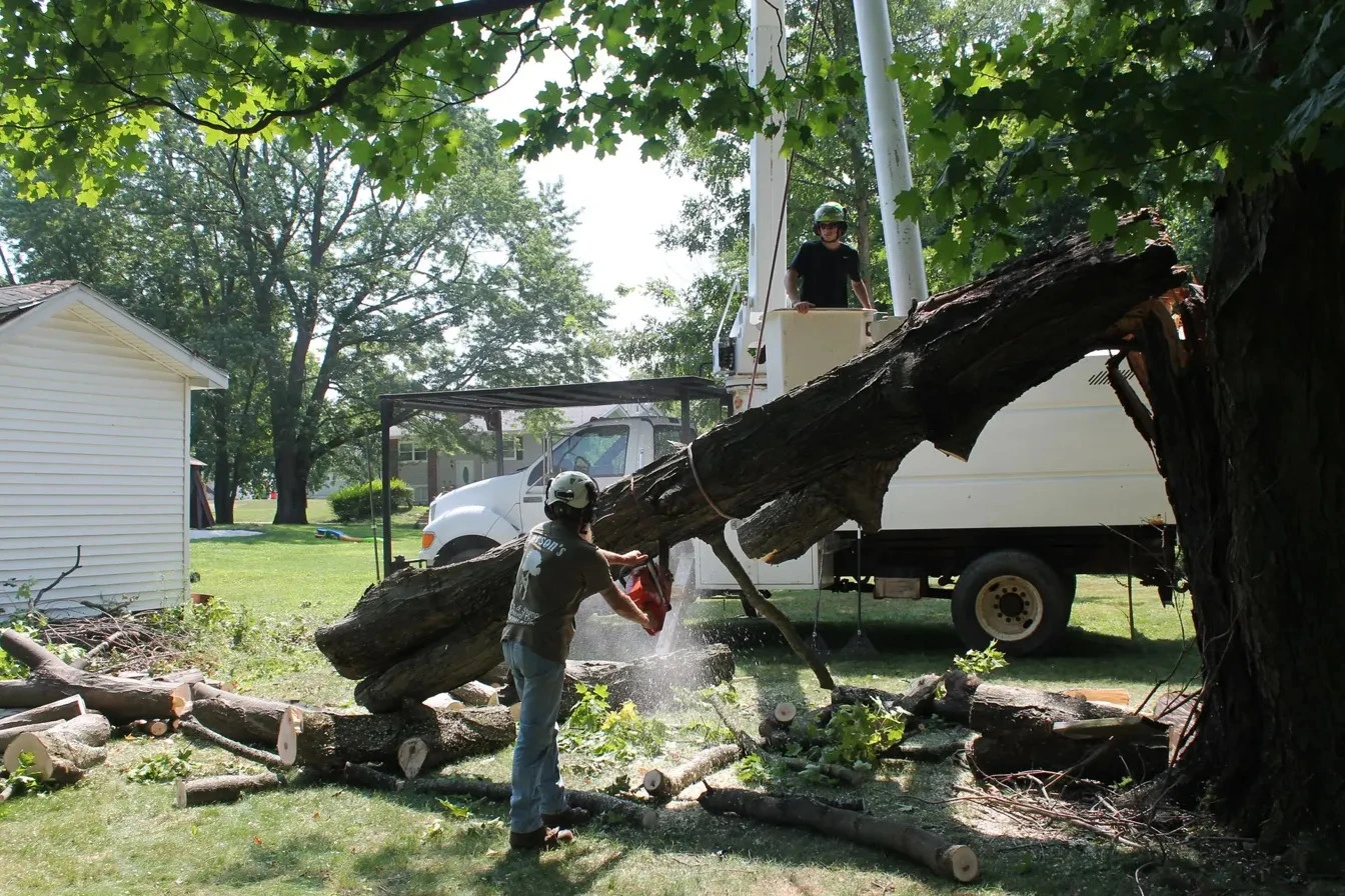 Storm damage cleanup in Millcreek Township